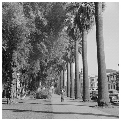 San Jose California Street Park Scene May 1942 - Available at KNOWOL