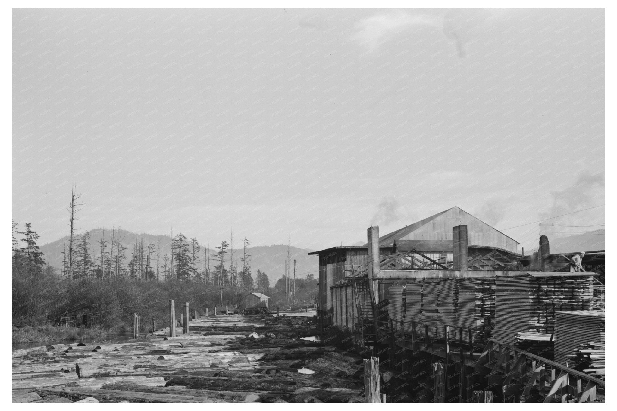 Sawmill Operation in Tillamook Oregon October 1941 - Available at KNOWOL