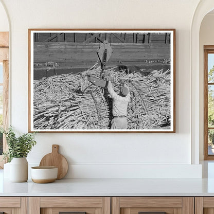 Scissors Crane Loading Sugarcane in Louisiana 1938 - Available at KNOWOL