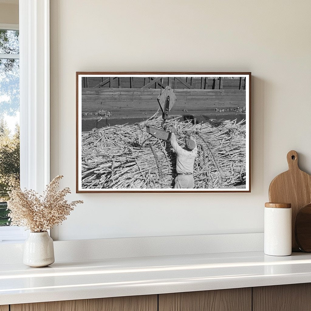 Scissors Crane Loading Sugarcane in Louisiana 1938 - Available at KNOWOL