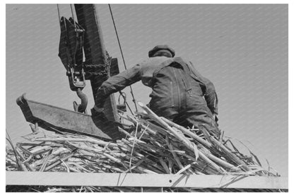 Scissors Crane Loading Sugarcane Louisiana 1938 - Available at KNOWOL