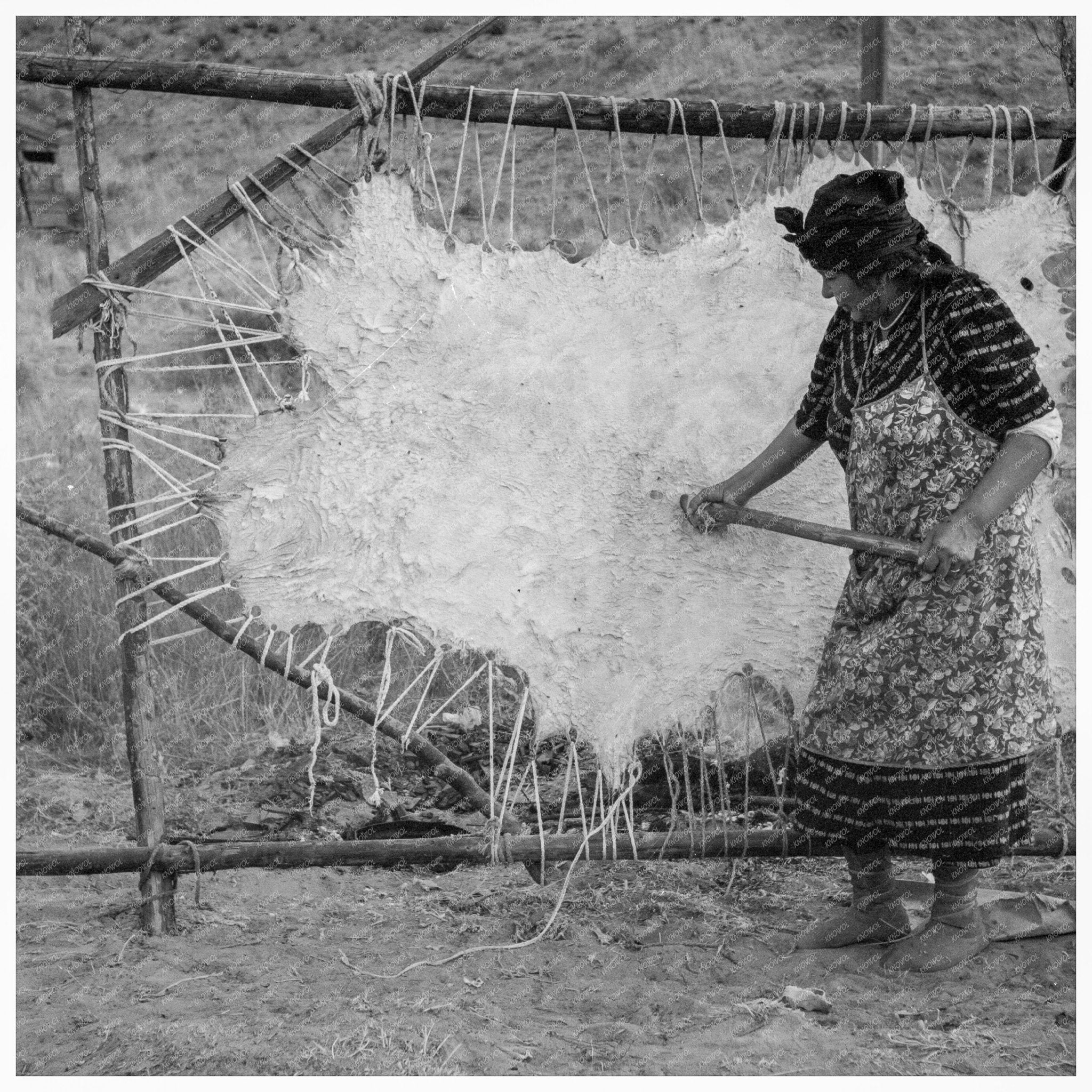 Scraping Hide Method in Oregon Indian Village 1939 - Available at KNOWOL