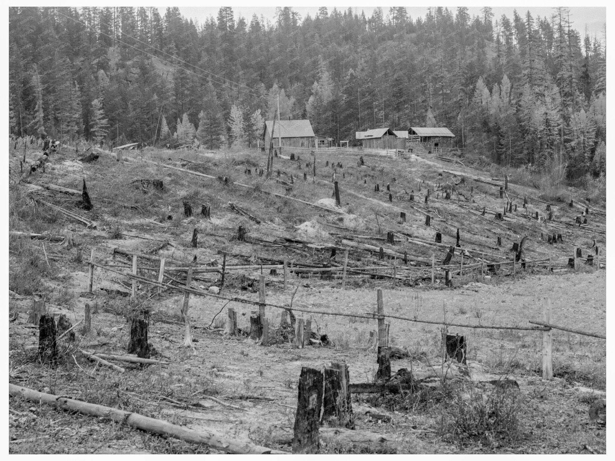 Settlers Shack in Boundary County Idaho 1939 - Available at KNOWOL