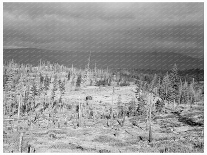 Settlers Shack in Boundary County Idaho October 1939 - Available at KNOWOL