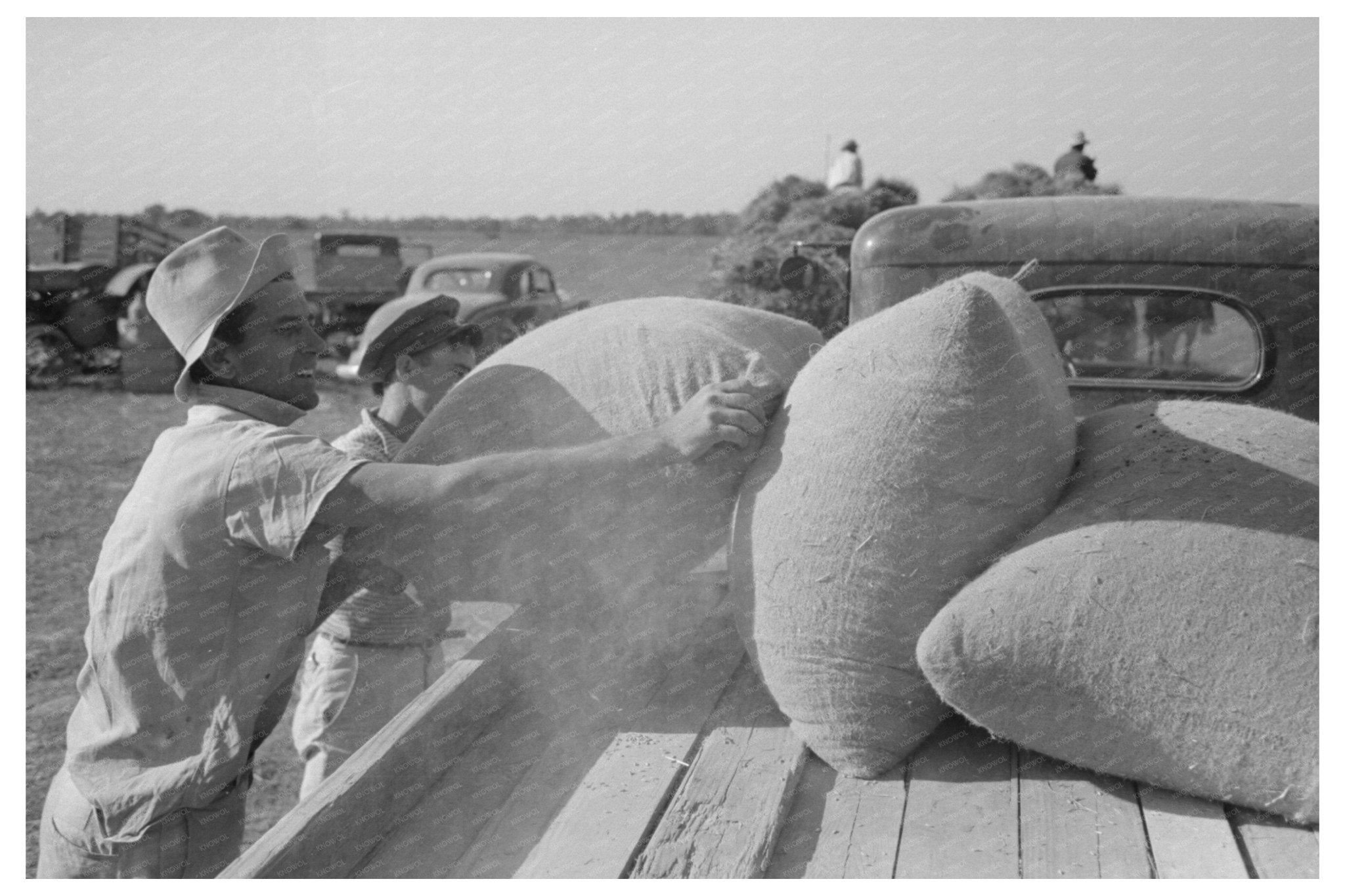 Sewing Rice Sacks in Crowley Louisiana September 1938 - Available at KNOWOL