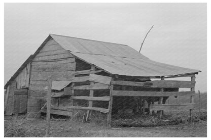 Sharecropper Barn Near Pace Mississippi 1939 - Available at KNOWOL