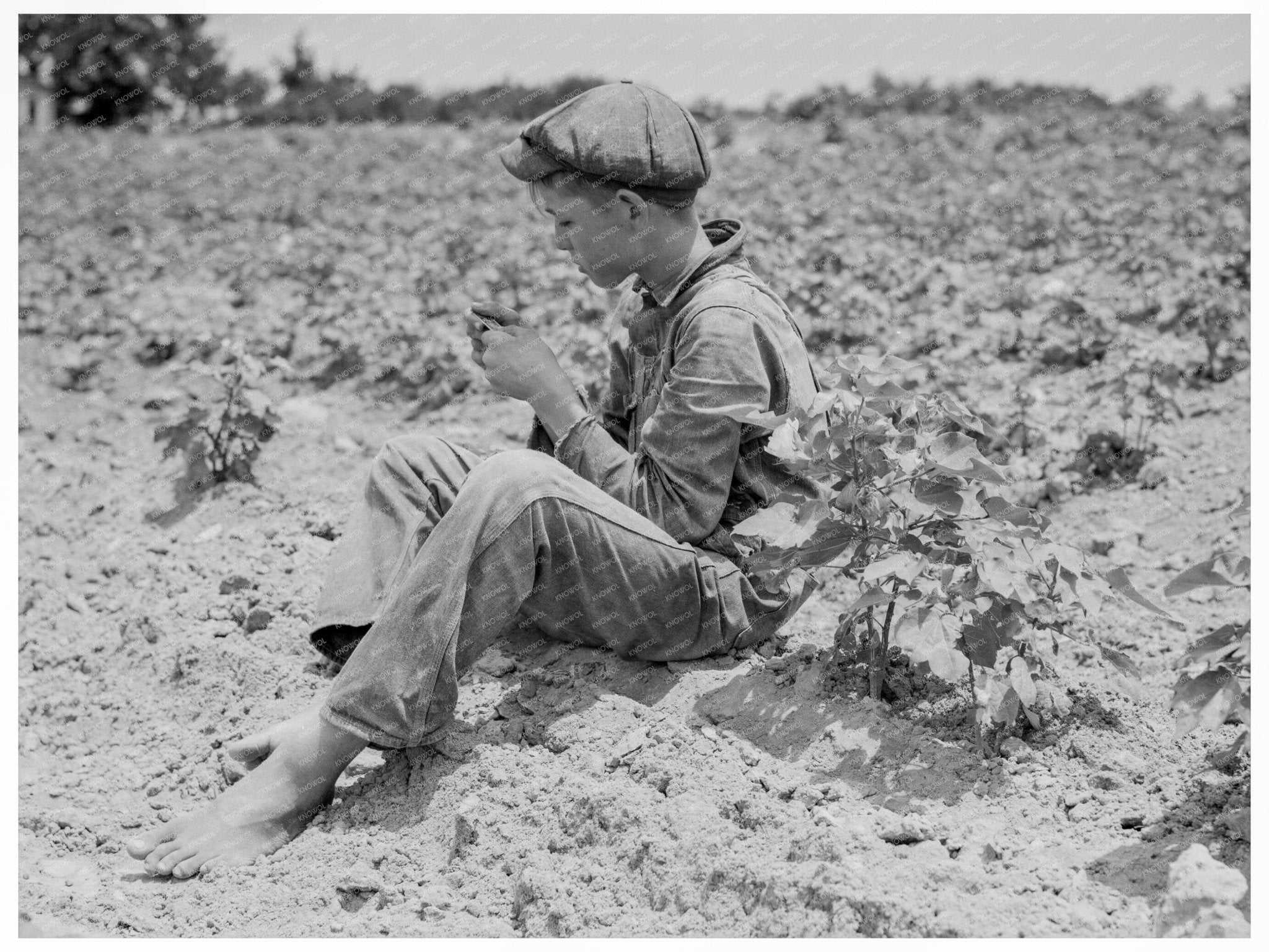 Sharecropper Boy in Chesnee South Carolina 1937 - Available at KNOWOL