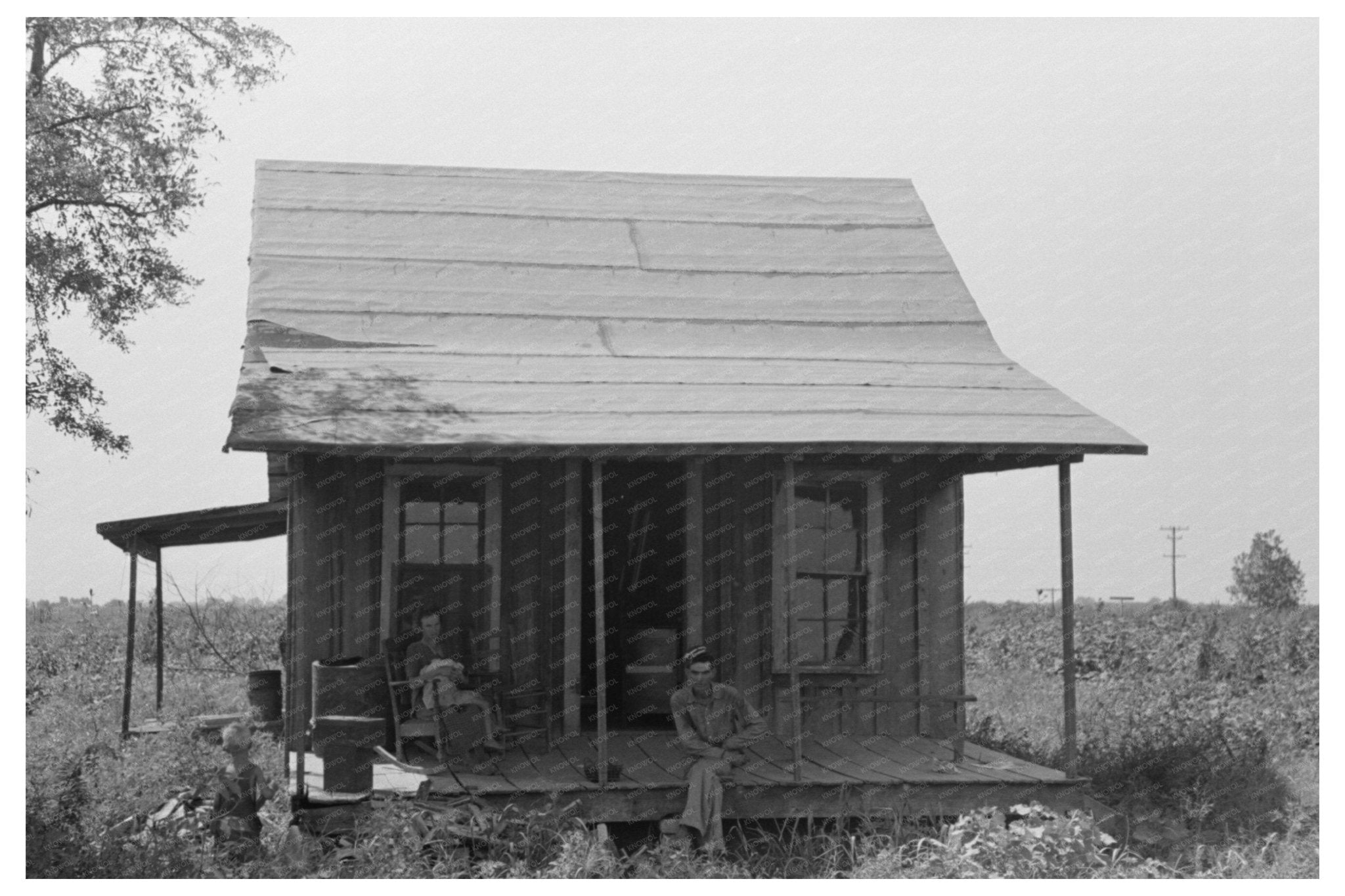 Sharecropper Cabin Occupied by Squatter Missouri 1938 - Available at KNOWOL