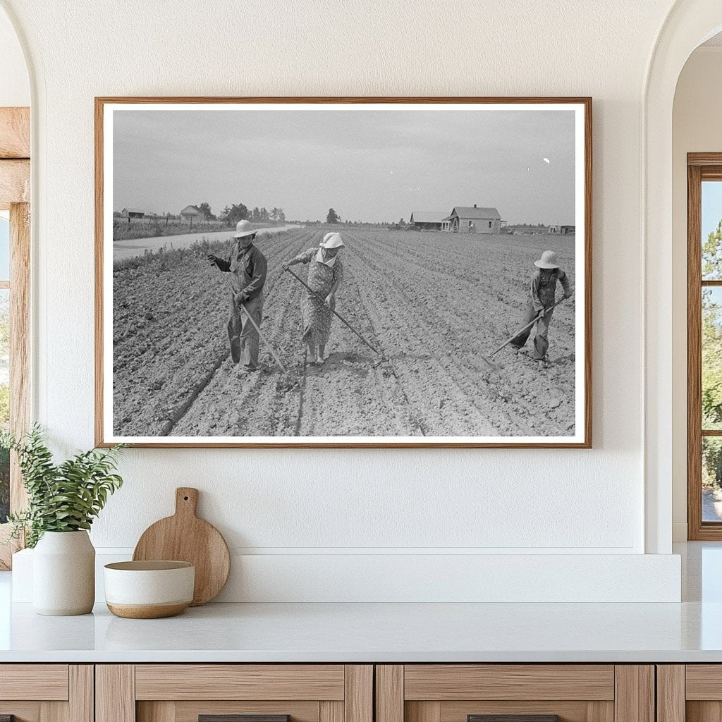 Sharecropper Family Cultivating Cotton Missouri 1938 - Available at KNOWOL