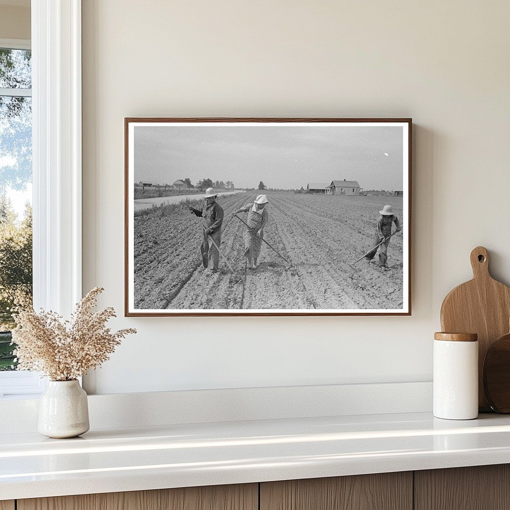 Sharecropper Family Cultivating Cotton Missouri 1938 - Available at KNOWOL