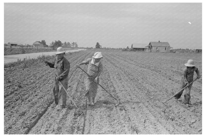 Sharecropper Family Cultivating Cotton Missouri 1938 - Available at KNOWOL