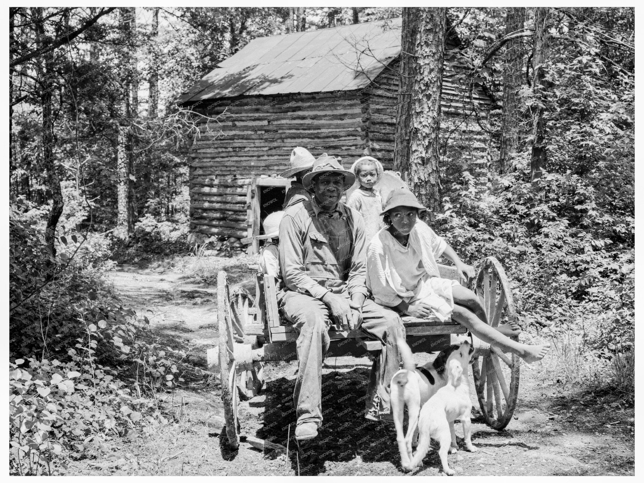 Sharecropper Family in North Carolina July 1939 - Available at KNOWOL