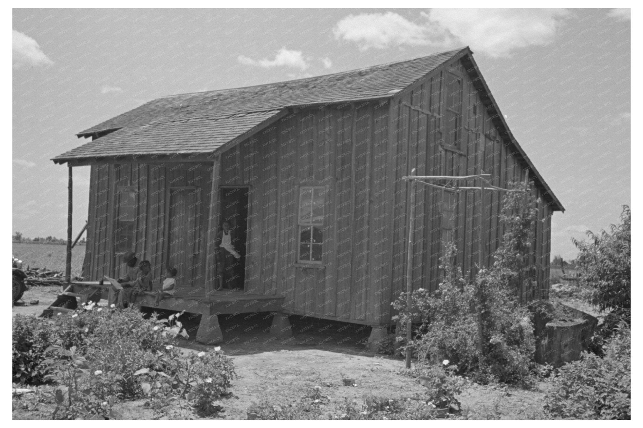 Sharecropper Home New Madrid County Missouri 1938 - Available at KNOWOL