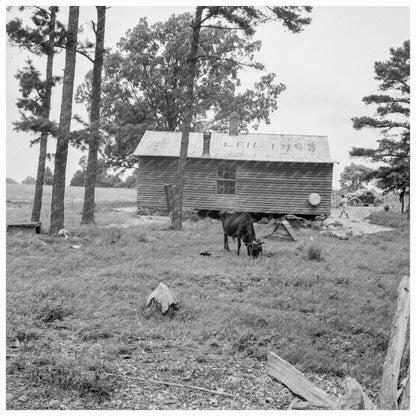 Sharecropper House in Person County North Carolina 1939 - Available at KNOWOL