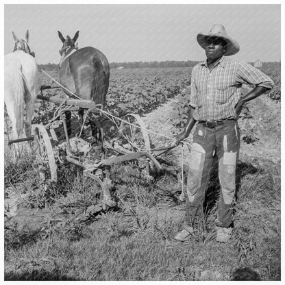 Sharecropper in Jefferson County Arkansas June 1938 - Available at KNOWOL