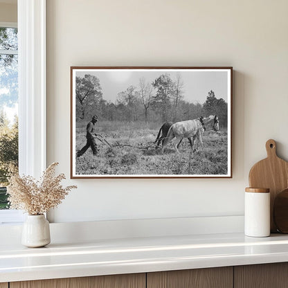 Sharecropper Plowing Sweet Potatoes Laurel Mississippi 1938 - Available at KNOWOL