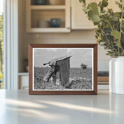 Sharecropper Privy New Madrid County Missouri 1938 - Available at KNOWOL