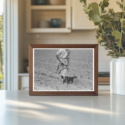 Sharecropper Woman in Cotton Field Missouri 1938 - Available at KNOWOL