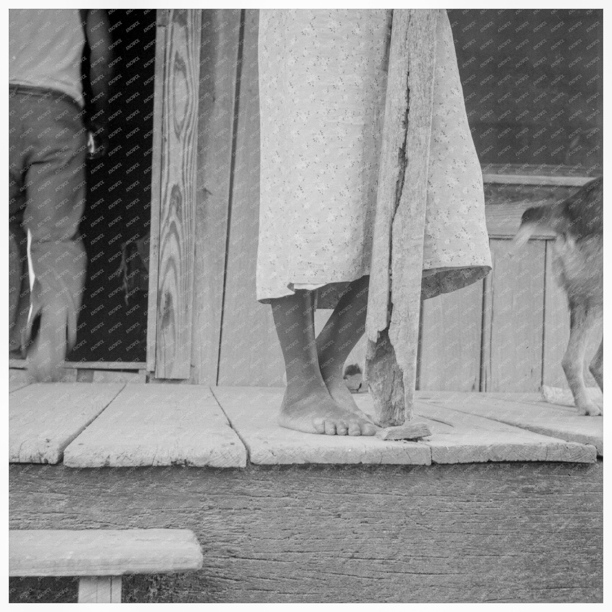 Sharecroppers Cabin Front Porch Coahoma County 1937 - Available at KNOWOL