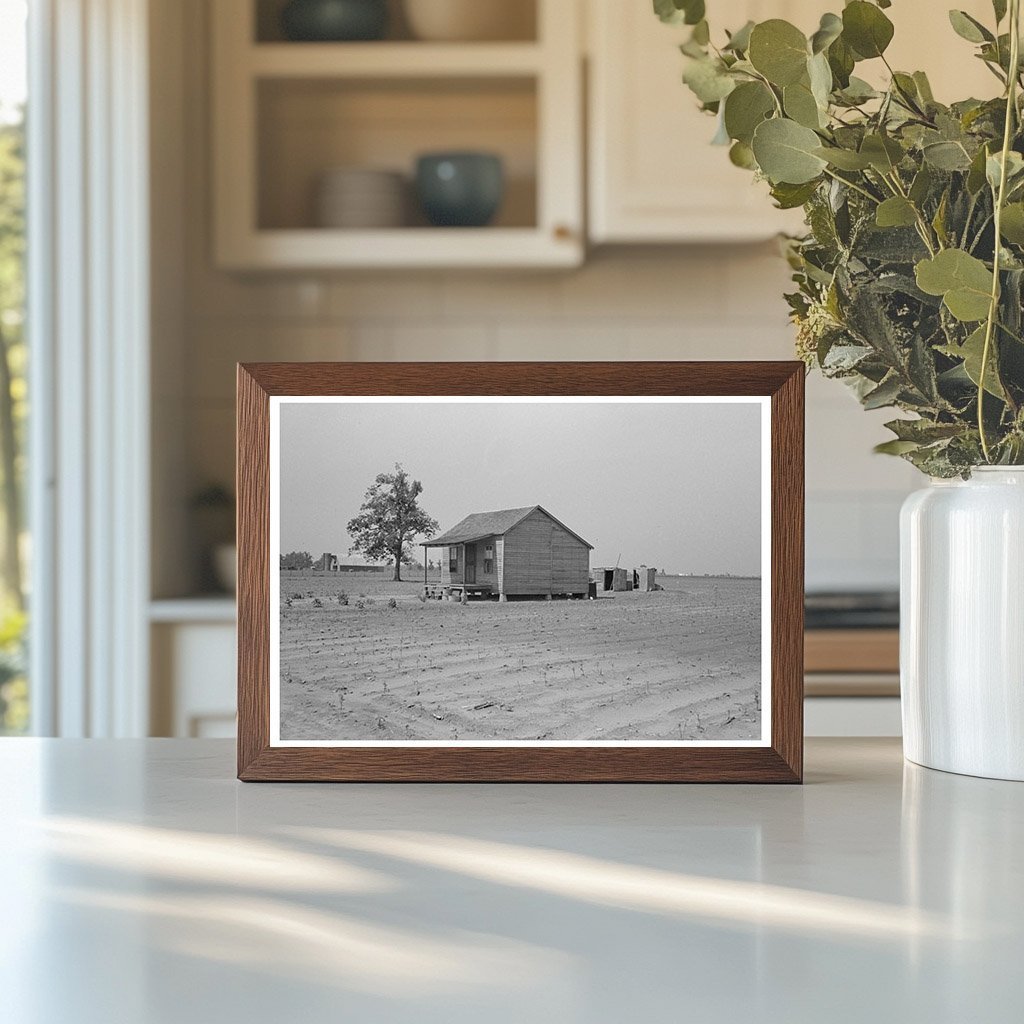 Sharecroppers Cabin in Cotton Field New Madrid County 1938 - Available at KNOWOL