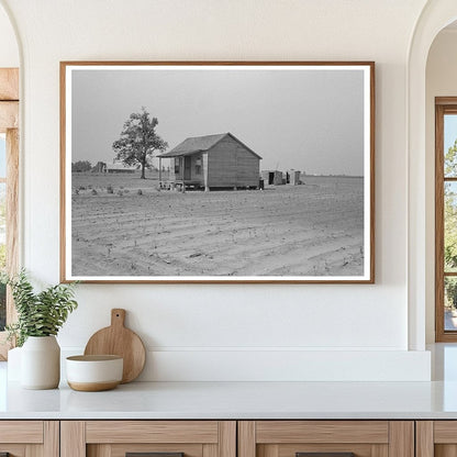 Sharecroppers Cabin in Cotton Field New Madrid County 1938 - Available at KNOWOL