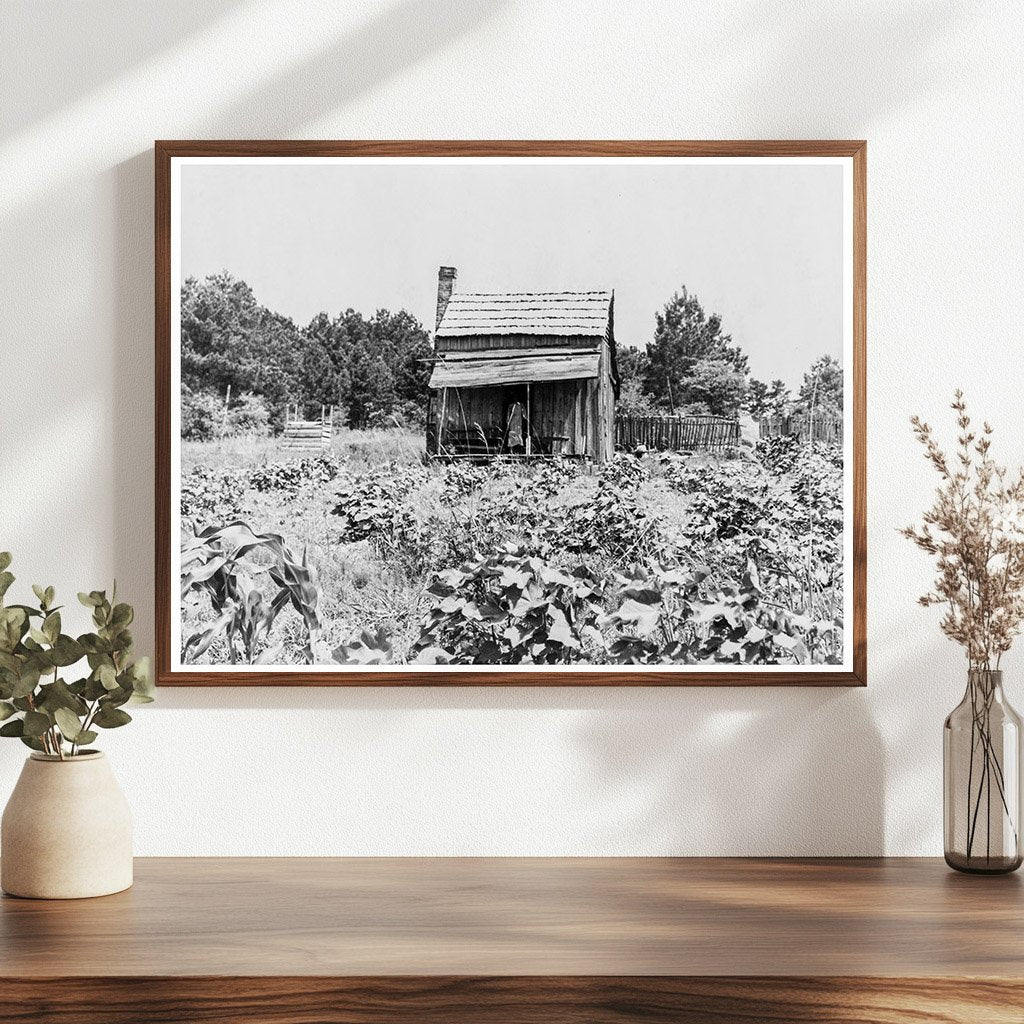 Sharecroppers Cabin in Jackson Mississippi June 1937 - Available at KNOWOL