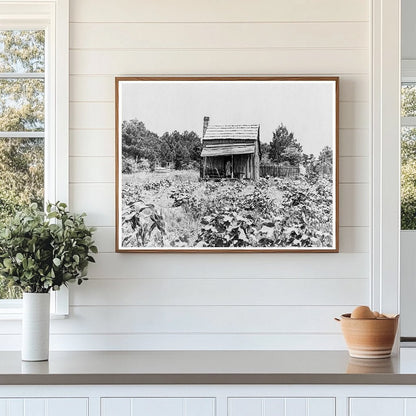 Sharecroppers Cabin in Jackson Mississippi June 1937 - Available at KNOWOL