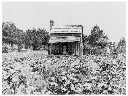 Sharecroppers Cabin in Jackson Mississippi June 1937 - Available at KNOWOL