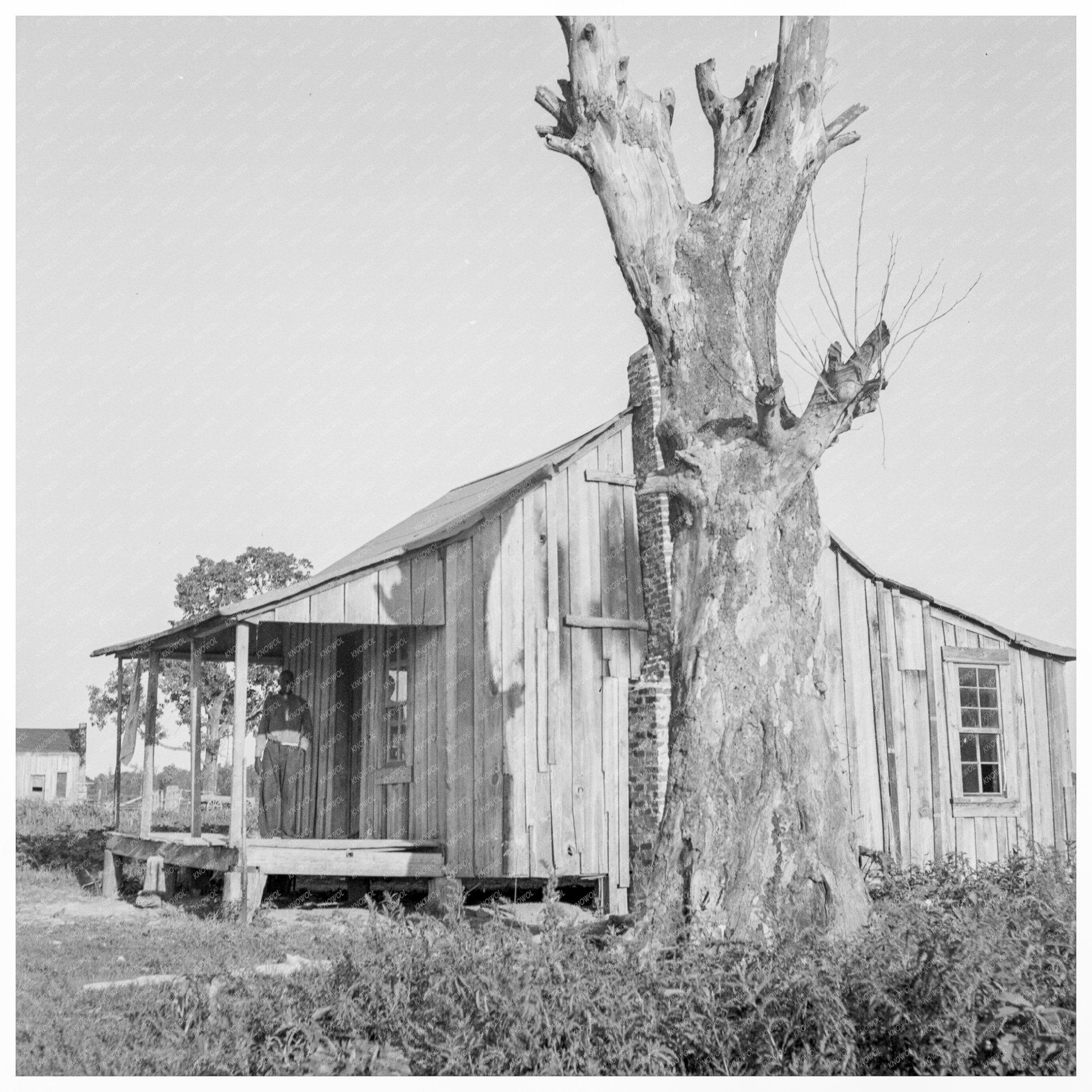 Sharecroppers Cabin in Washington County Mississippi 1937 - Available at KNOWOL