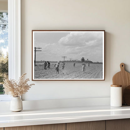 Sharecroppers Chopping Cotton New Madrid County 1938 - Available at KNOWOL