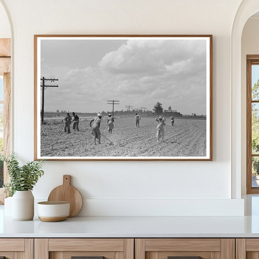 Sharecroppers Chopping Cotton New Madrid County 1938 - Available at KNOWOL