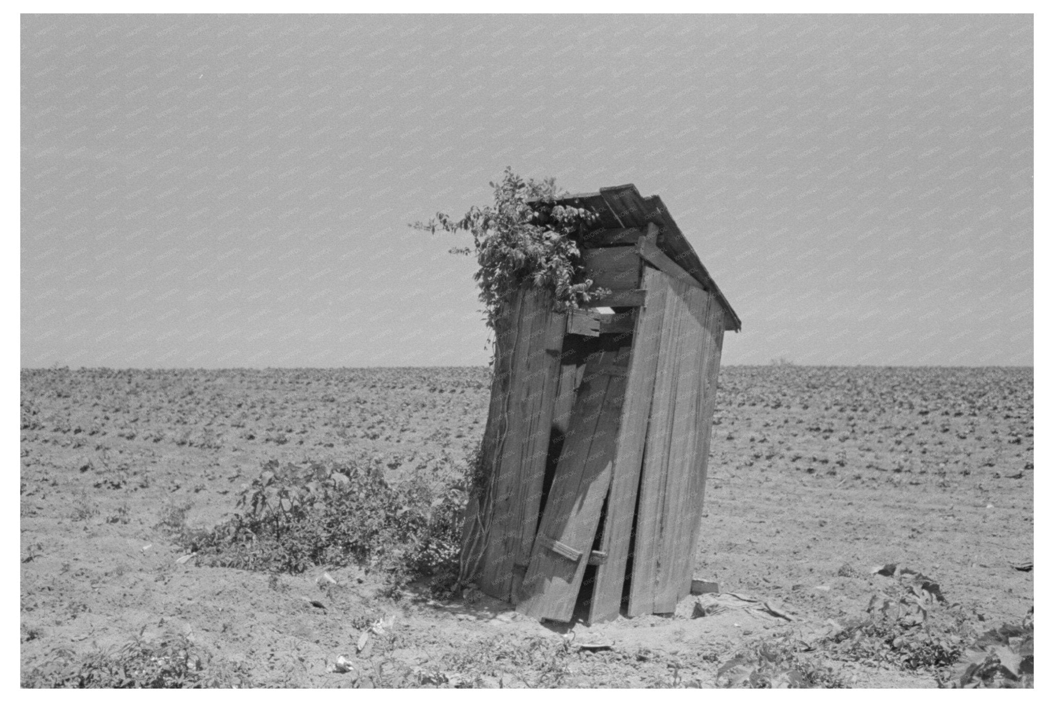 Sharecroppers Privy New Madrid County Missouri 1938 - Available at KNOWOL