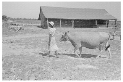 Sharecroppers Wife with Cow in New Madrid County 1938 - Available at KNOWOL