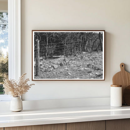 Sheep and Goat Fence in Kimble County Texas March 1940 - Available at KNOWOL