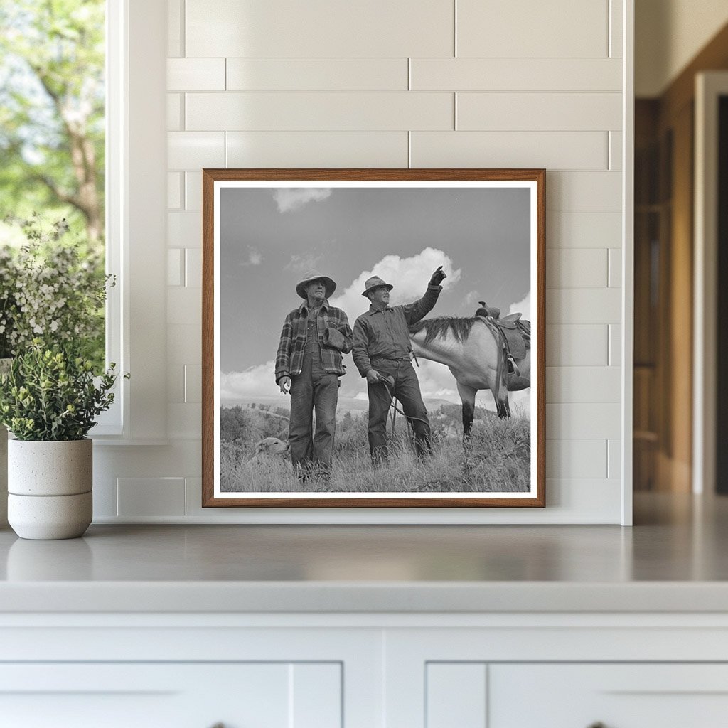 Sheep Grazing in Madison County Montana August 1942 - Available at KNOWOL