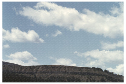 Sheep Grazing on Gravelly Range Montana August 1942 - Available at KNOWOL