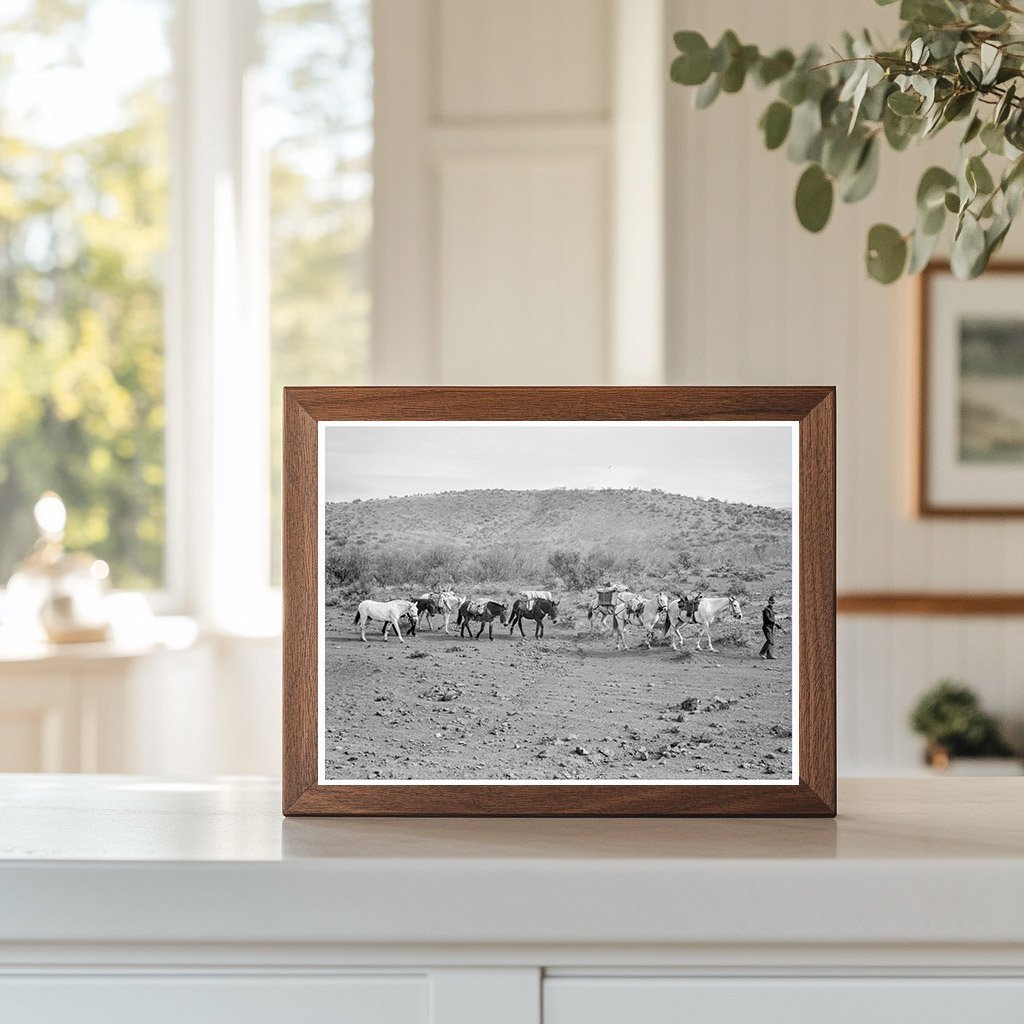 Sheep Herders Descending in Idaho October 1939 - Available at KNOWOL