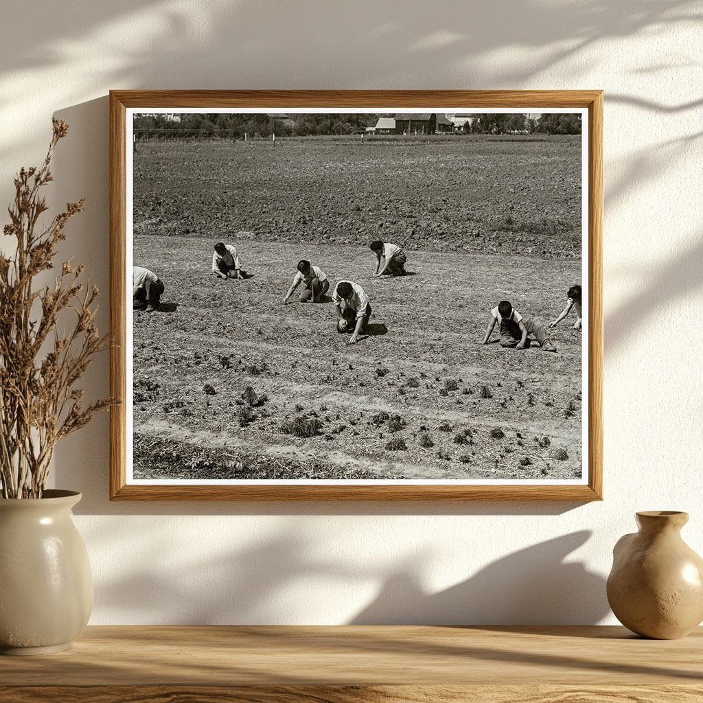 Shibuya Family Weeding Field Mountain View 1942 - Available at KNOWOL