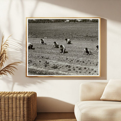 Shibuya Family Weeding Field Mountain View 1942 - Available at KNOWOL