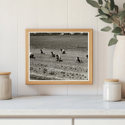 Shibuya Family Weeding Field Mountain View 1942 - Available at KNOWOL