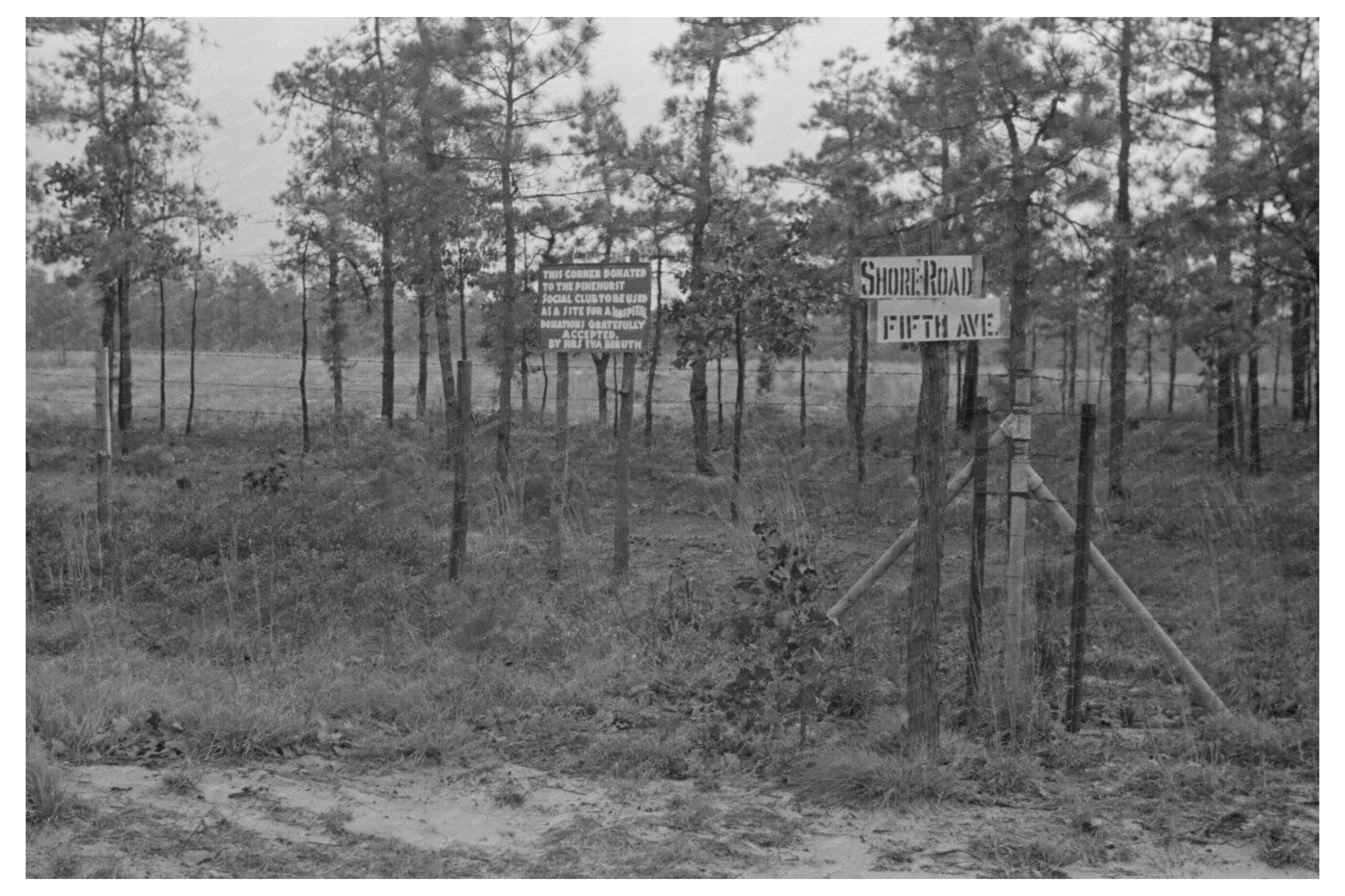 Sign for Land Donation in Pine Barrens January 1938 - Available at KNOWOL