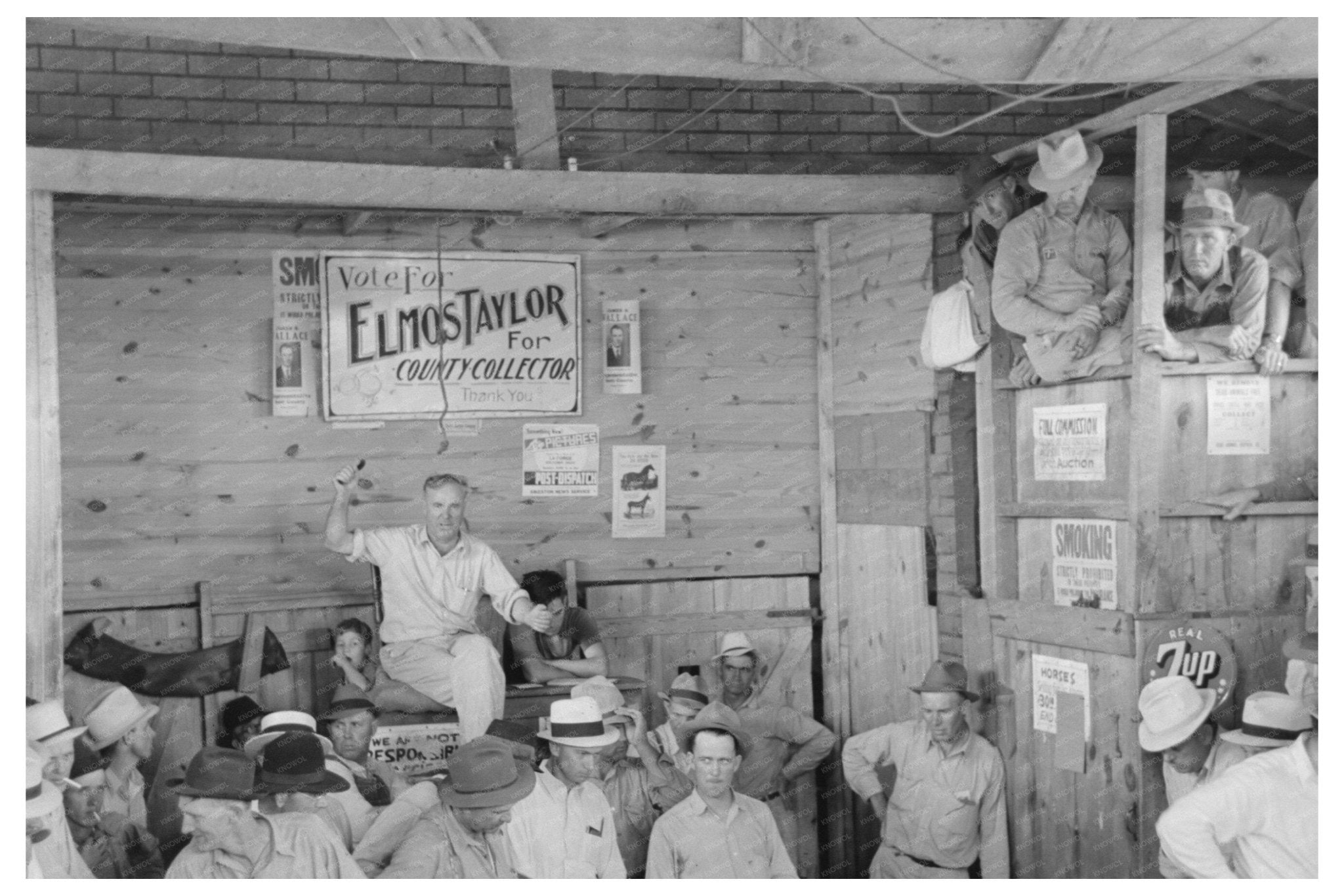 Sikeston Missouri Rural Auction Scene May 1938 - Available at KNOWOL