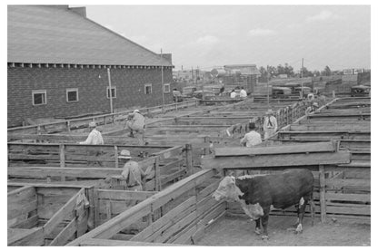 Sikeston Missouri Stockyards and Auction Pavilion 1938 - Available at KNOWOL