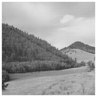 Silver Bow County Road Scene Butte to Sheridan 1942 - Available at KNOWOL