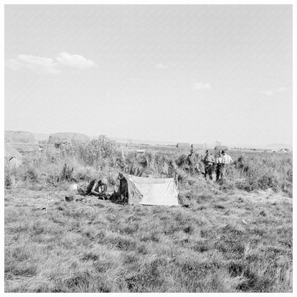 Single Men Potato Pickers Camp Tulelake 1939 - Available at KNOWOL