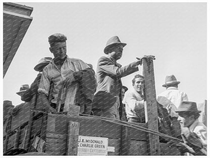 Single Men Transported to Fields Stanislaus County 1939 - Available at KNOWOL