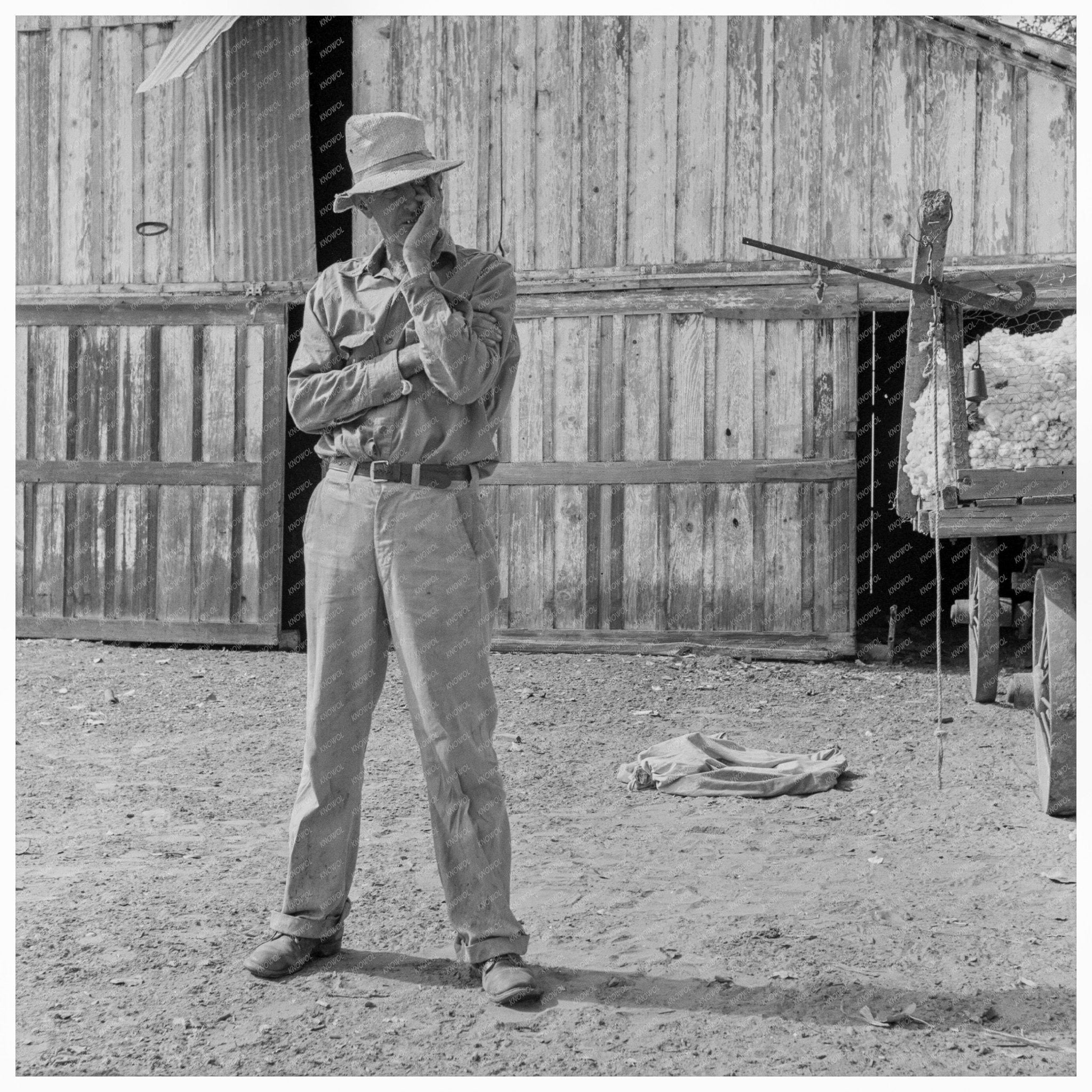 Small Cotton Farmer in Kern County California 1938 - Available at KNOWOL