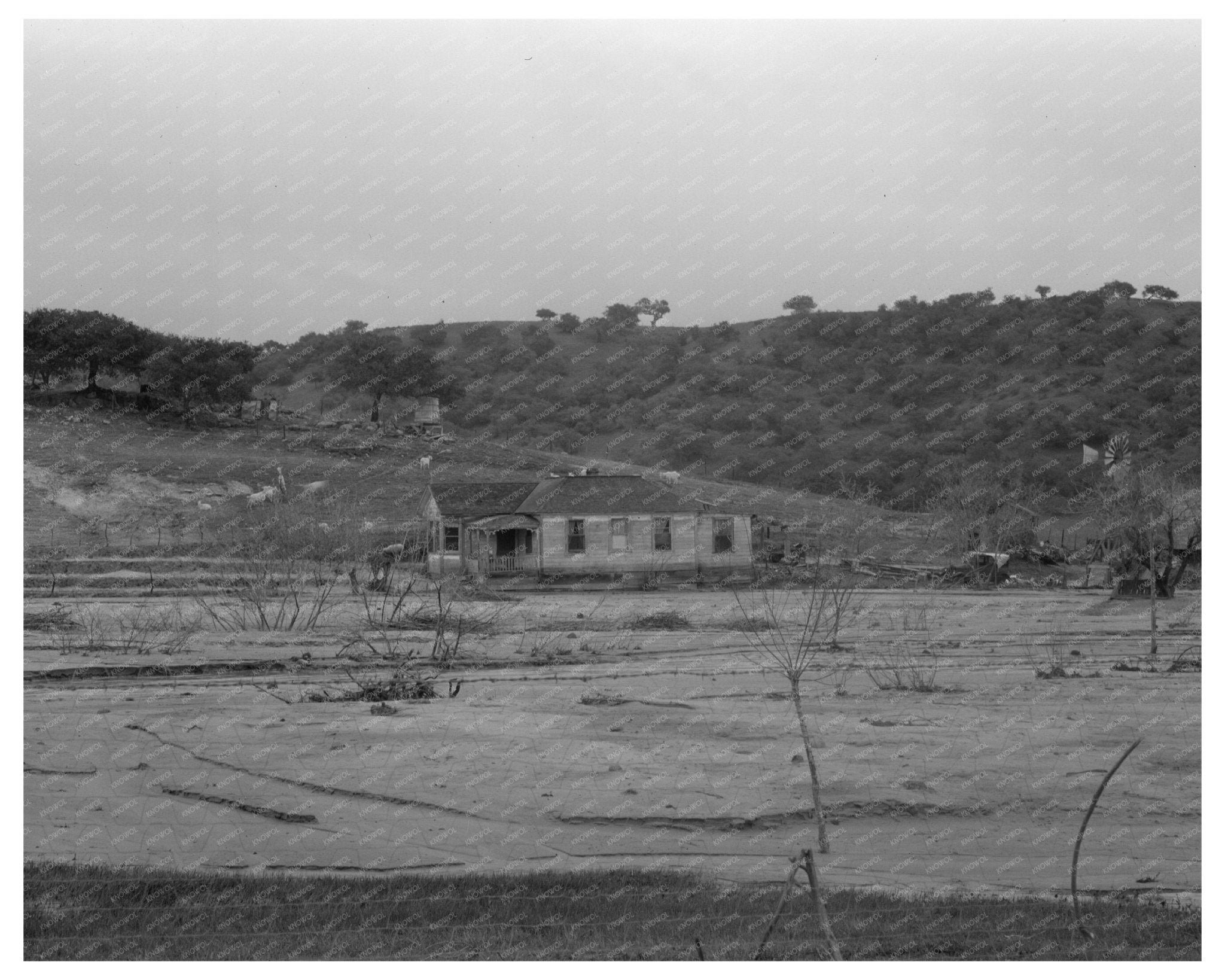 Soil Erosion in Arroyo Grande California February 1936 Vintage Image - Available at KNOWOL