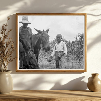 Son and Grandson of Tenant Farmer in Granville County 1939 - Available at KNOWOL