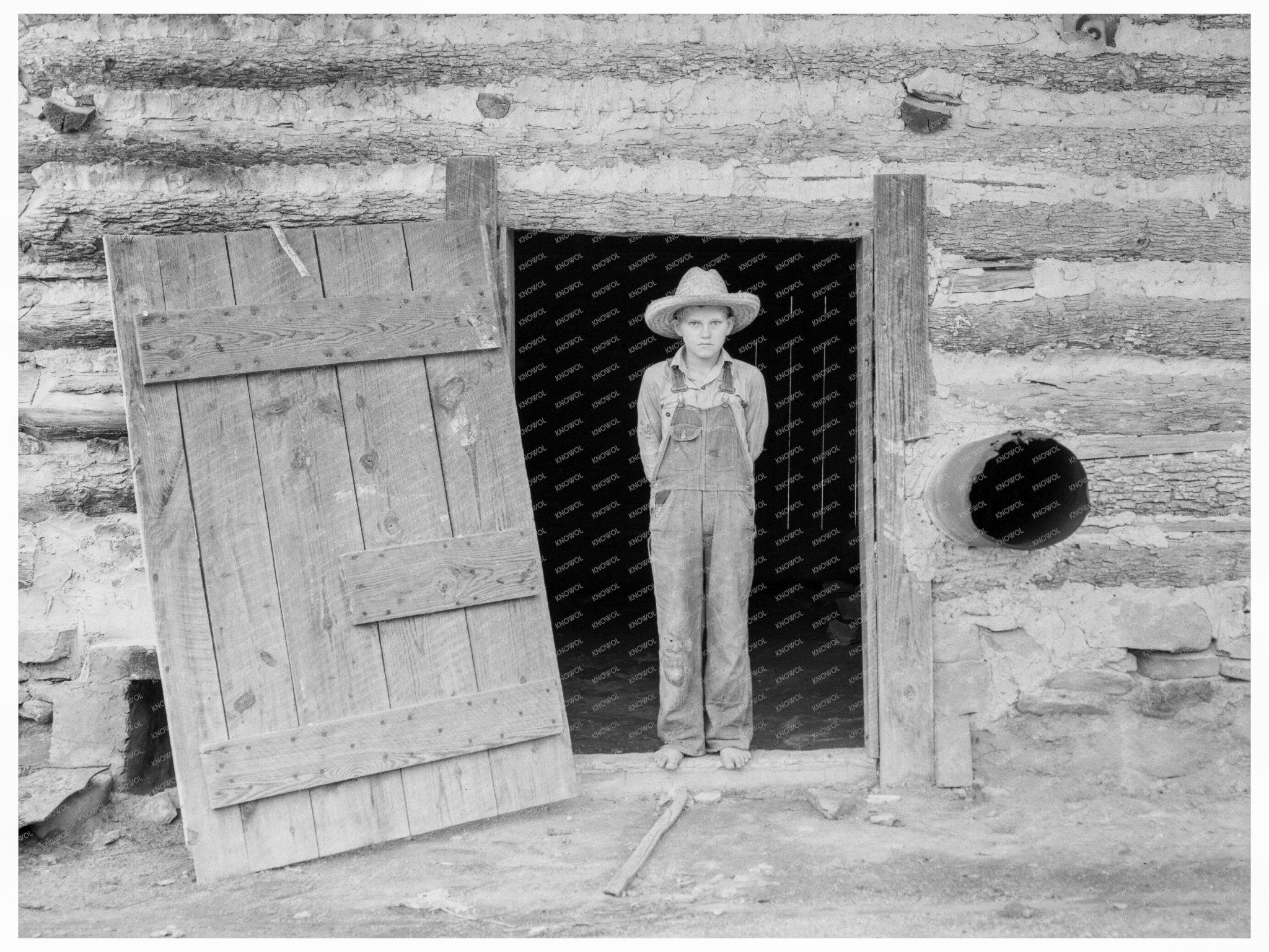 Son of Tobacco Sharecropper Harvesting in 1939 North Carolina - Available at KNOWOL